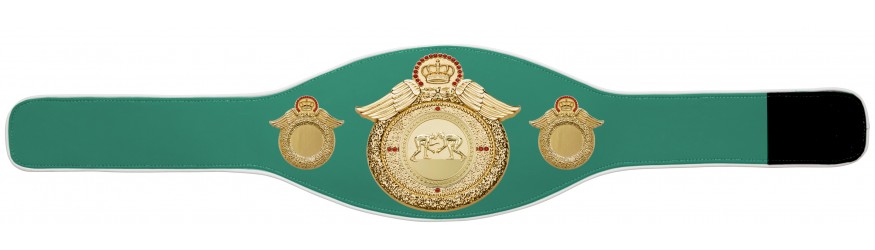 GRAPPLING CHAMPIONSHIP BELT-PROWING/G/GRAPPG-6+ COLOURS